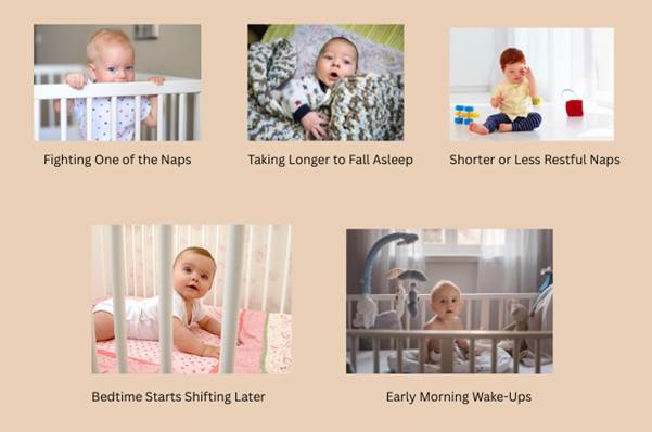 Signs Your Baby Is Ready for One Nap