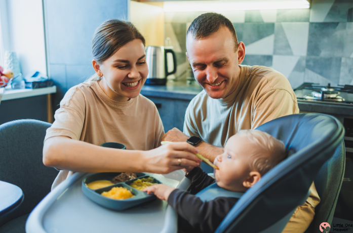 Best First Foods to Introduce to a 4–6 Month Old Baby
