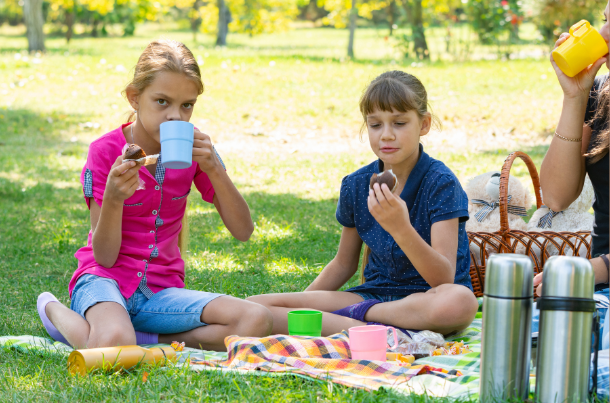 family picnic ideas