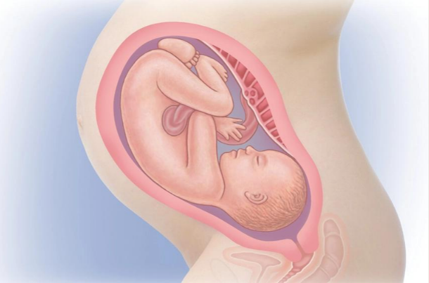 is 36 weeks exactly 9 months